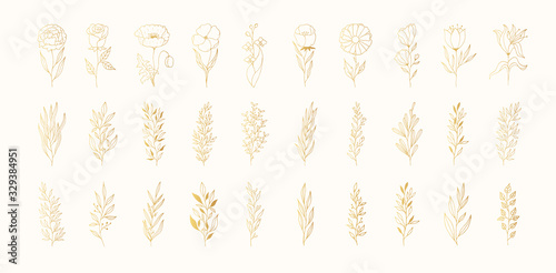 Big set of golden floral design branches and flowers. Decoration elements for wedding. Vector isolated spring gold flourish borders.