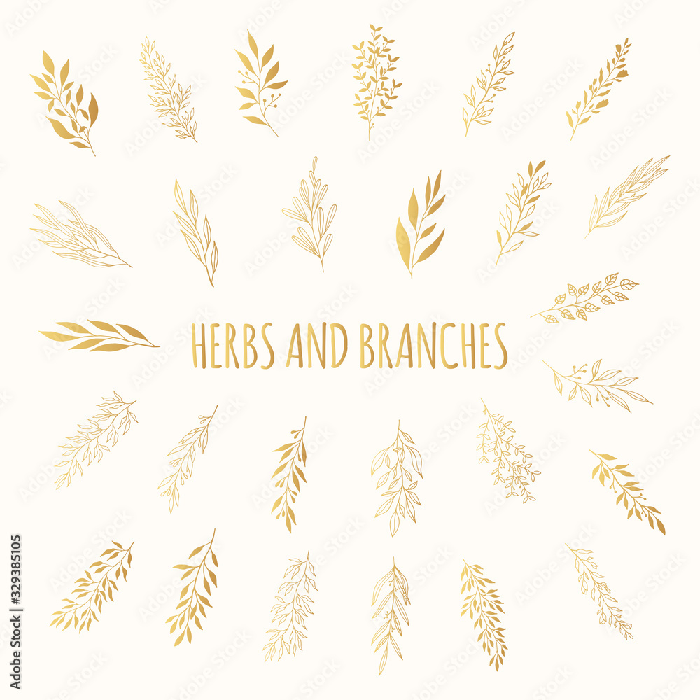 Set of golden floral branches and herbs. Rustic elements for wedding. Vector isolated spring gold flourish borders. Set of golden floral branches and herbs. Rustic elements for wedding. Vector isolated spring gold flourish borders.