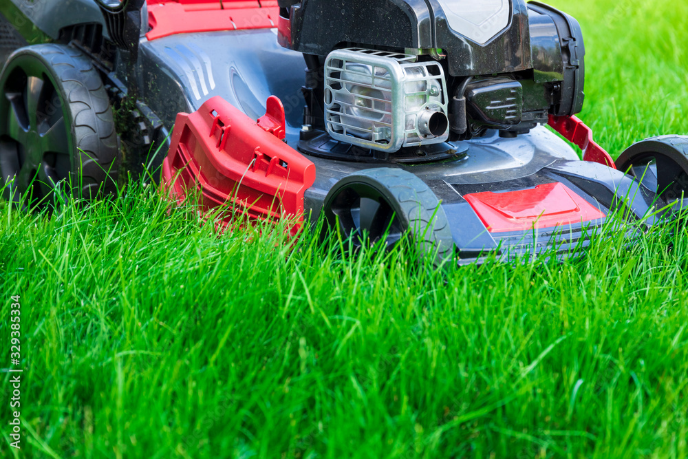 Fototapeta premium Lawn mower cutting green grass in backyard, mowing lawn