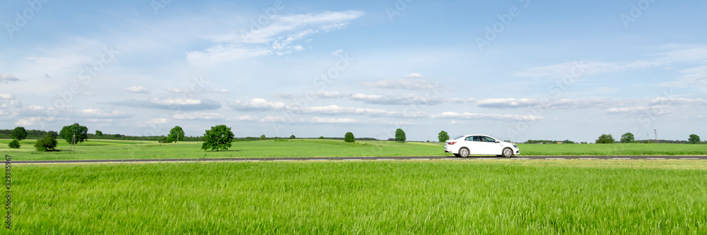 Fototapeta premium Small passenger car driving through green countryside meadow, on the road trip