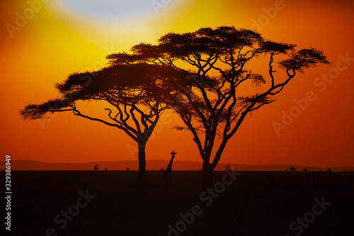 Taken during my last photo tour in tanzania