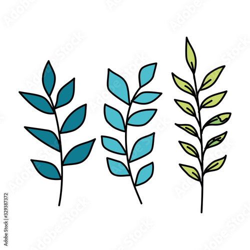 branch with leafs nature ecology isolated icon vector illustration design
