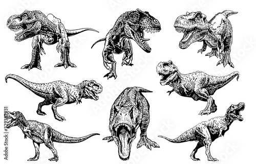 Graphical set of tyrannosauruses isolated on white, vector dinosaurs , elements for tattoo , design  