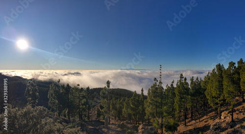 Panoramic view from Pico las nieves