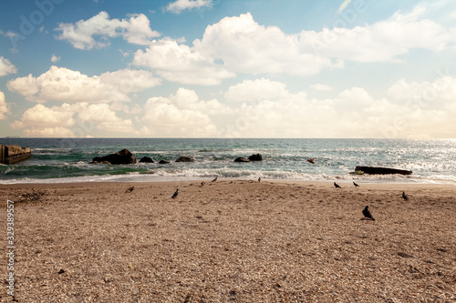 Odessa, Ukraine. . View of one of the most beatuful sandy beach of the Black sea coast photo