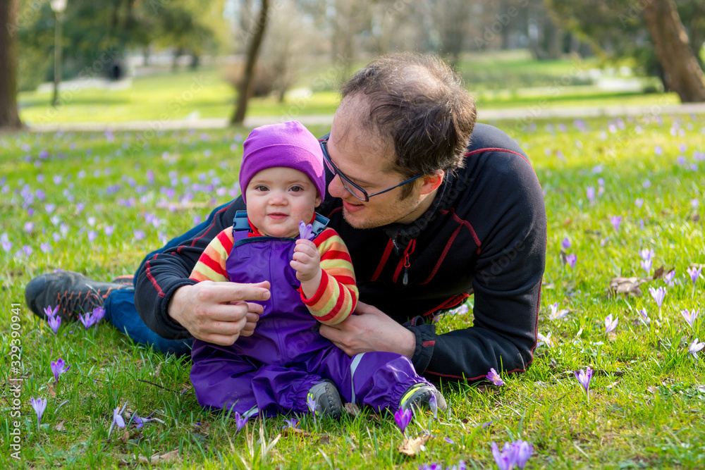Father and baby daughter posing on spring meadow full of saffron flowers. Father and baby daughter posing on spring meadow full of saffron flowers.