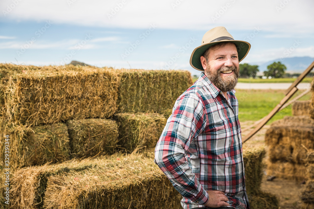 Ranchers stacking hay bales. Bridger, Montana, USA Ranchers stacking hay bales. Bridger, Montana, USA