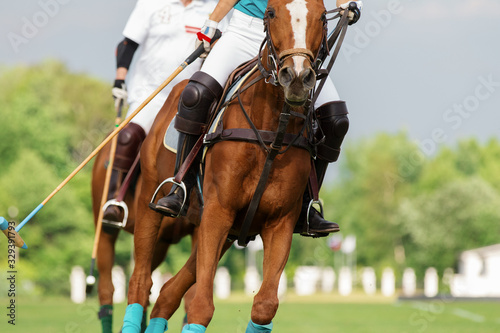 Two horse polo players with mallet in the game action