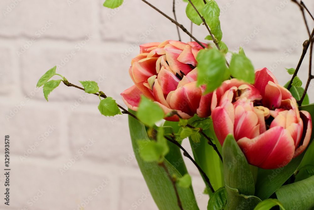 Fototapeta premium Bright spring bouquet of colorful tulips and blossoming branches of a birch on the white brick background.Present concept for Birthday, mother's Day and Easter
