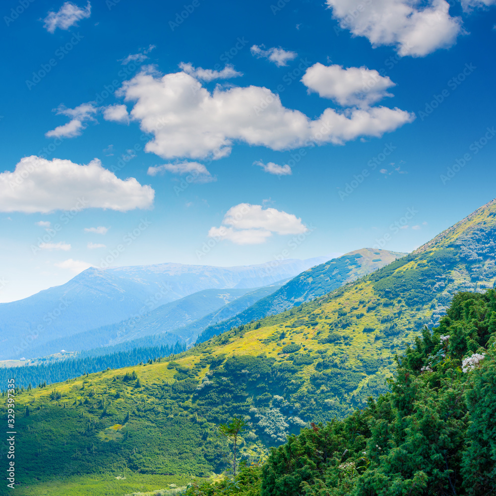 Photo of green meadows and hills at summer day in Carpathian mountains