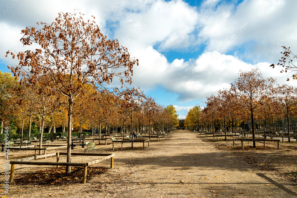 A scenic walk path through Luxembourg gardens in autumn season, Paris, France