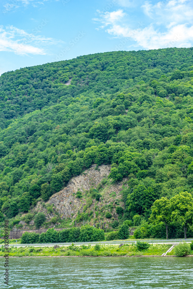 Germany, Rhine Romantic Cruise, a river with a lush green field Germany, Rhine Romantic Cruise, a river with a lush green field