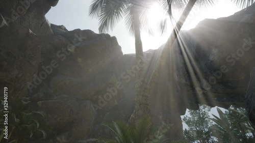 Big Palms in Stone Cave with Rays of Sunlight photo