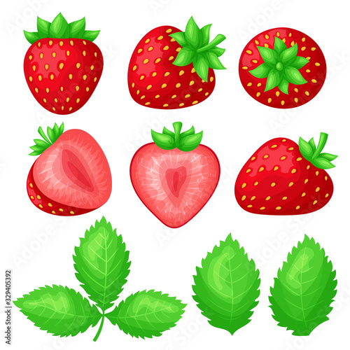 Fototapeta Naklejka Na Ścianę i Meble -  Set of ripe juicy strawberries. Whole berry fruits and slices of different shapes. Green leaves. Colorful simple flat cartoon style. Isolated vector illustration.