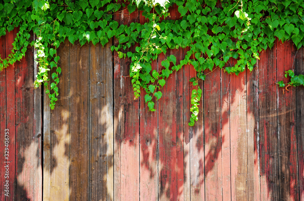 Green cane man on the red old plank wall Green cane man on the red old plank wall