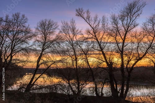 Through the sunset branches 