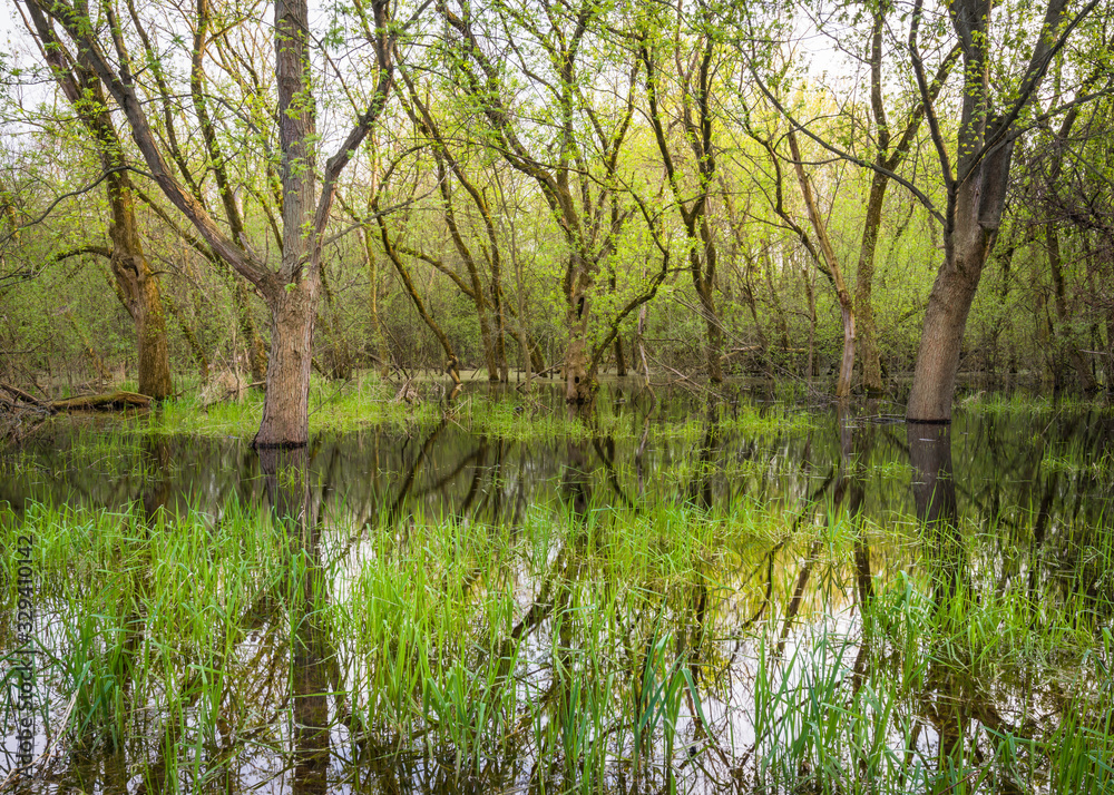 Heavy spring rains create vernal pools and valuable habitat for amphibians and reptiles.