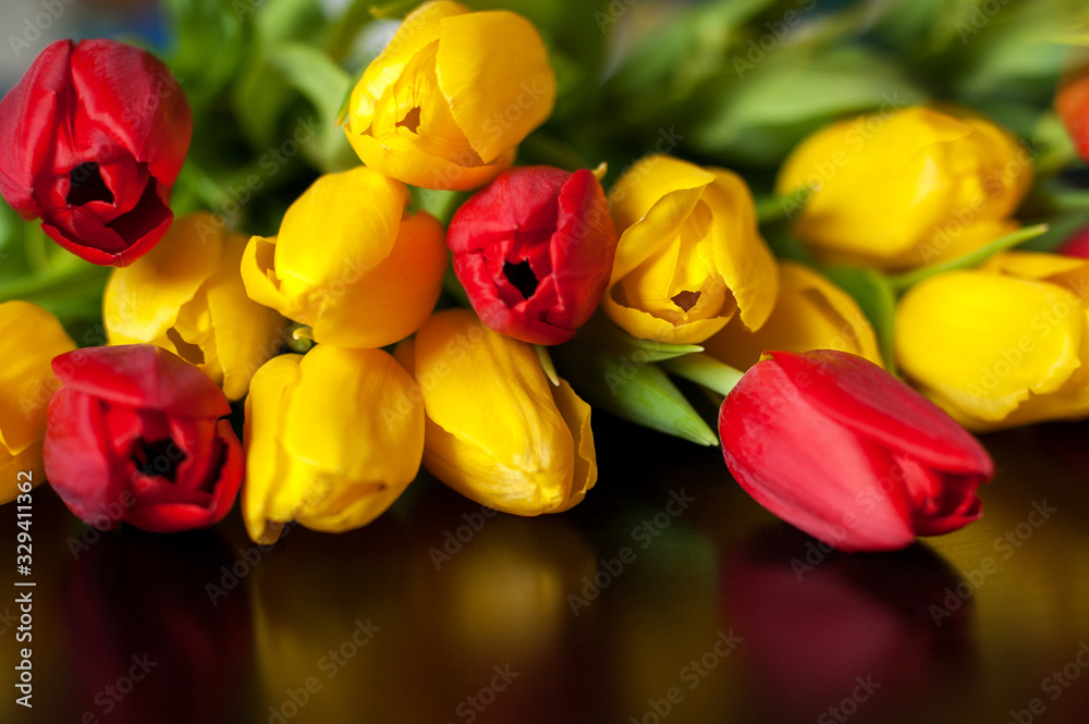 Fototapeta premium yellow and red tulips on a black background
