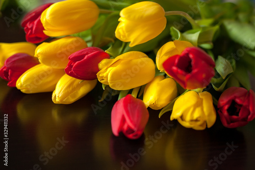 yellow and red tulips on a black background © Юлия Васильева