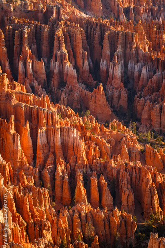 Detail on hoodoos - unique rock formations from sandstone made by geological erosion. Taken during sunrise in Bryce National Park, Utah, USA