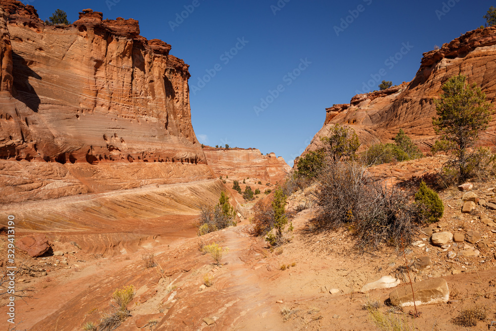 Rocks and Mountains along a trail to Tunnel Slot during sunny day with blue sky in Escalante National Monument, Grand Staircase trail, Utah, USA Rocks and Mountains along a trail to Tunnel Slot during sunny day with blue sky in Escalante National Monument, Grand Staircase trail, Utah, USA