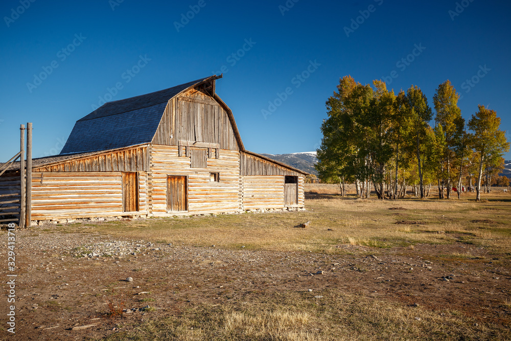 Fototapeta premium John Moulton Barn within Mormon Row Historic District in Grand Teton National Park, Wyoming - The most photographed barn in America