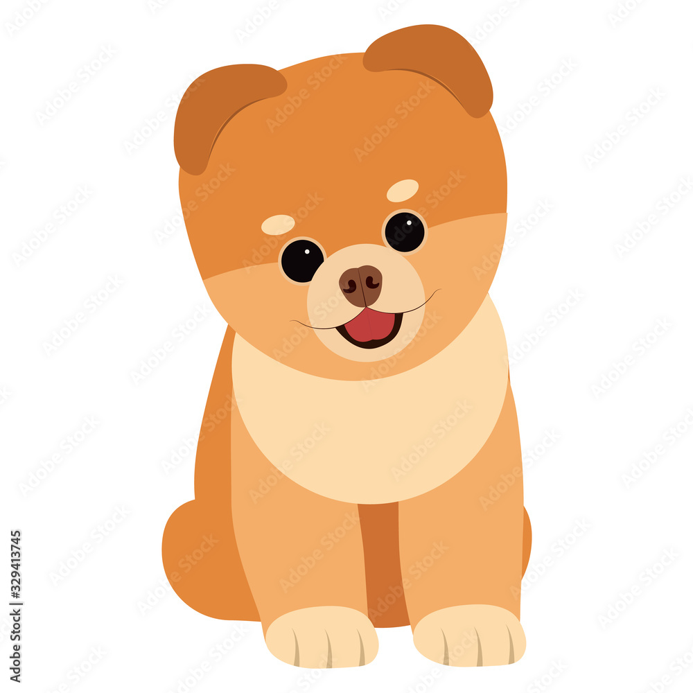 Obraz premium Dog breed spitz. Vector illustration