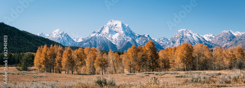 Oxbow Bend viewpoint on panorama of mt. Moran and wildlife, Grand Teton National park, Wyoming, USA