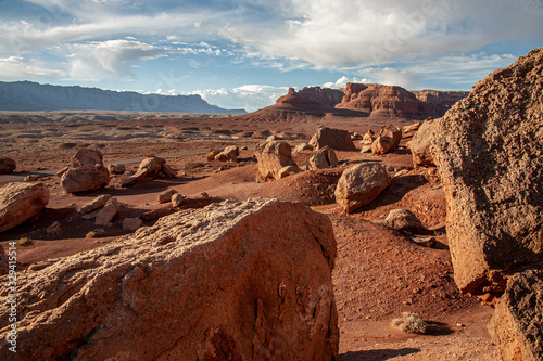 rocks in the desert 