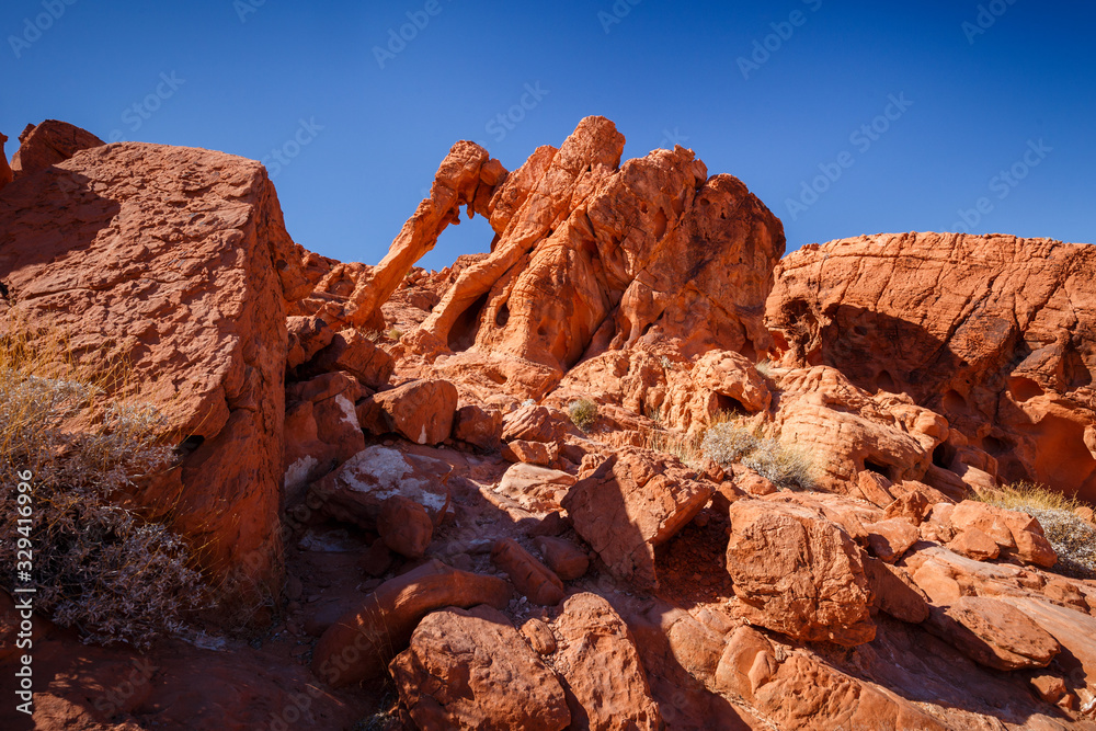 Obraz premium Elephant Rock during sunny day with blue sky, Valley of Fire State Park, Nevada, USA