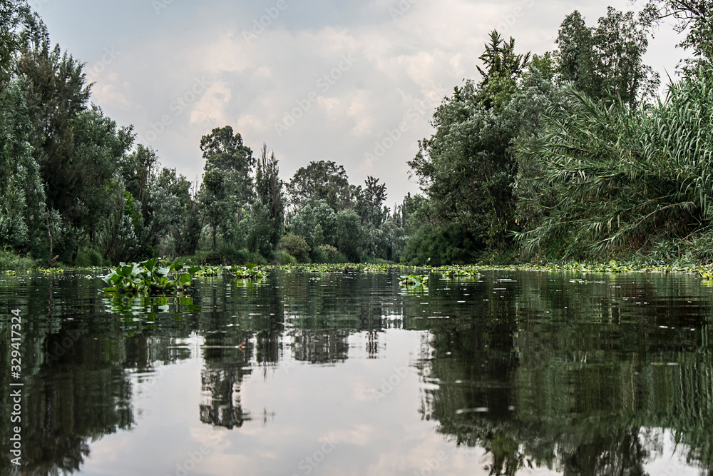 Fototapeta premium canal de Xochimilco