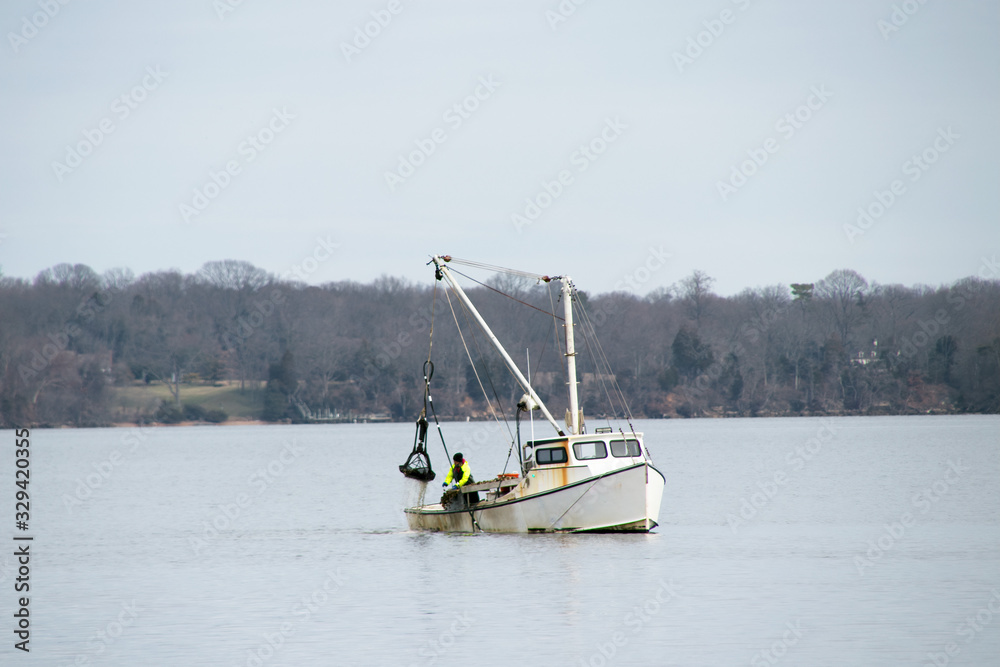 Obraz premium a commercial oyster boat dredging for oysters in the chesapeake bay.
