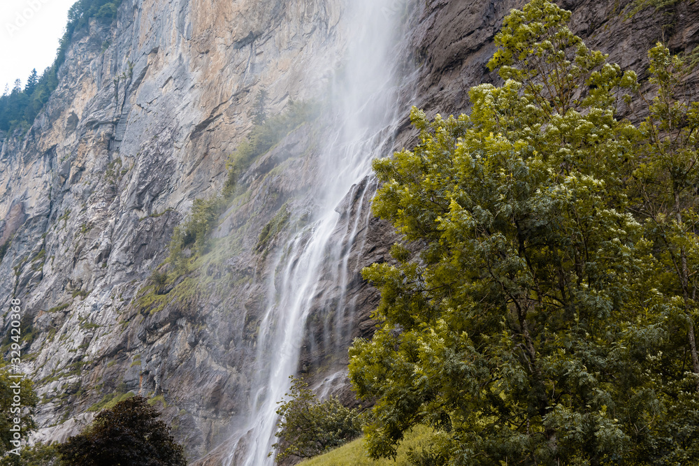 Small mountain waterfall. Summer alpine mountain landscape. Tree is in the foreground.