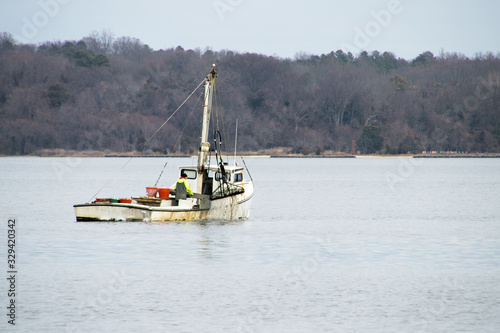 a commercial oyster boat dredging for oysters in the chesapeake bay.
