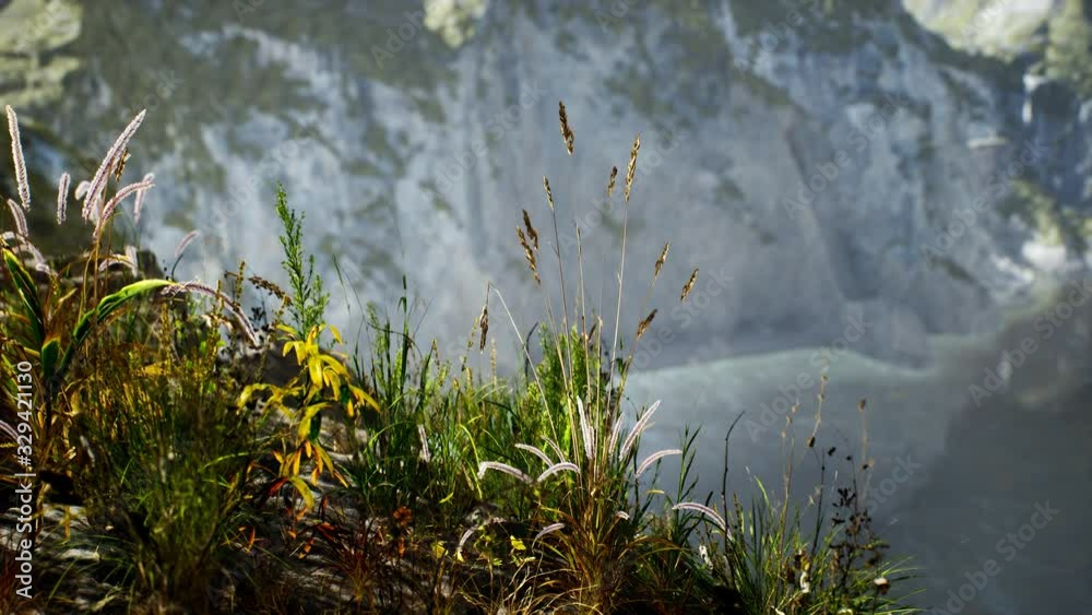 fresh grass at big rocky cliff in ocean fresh grass at big rocky cliff in ocean