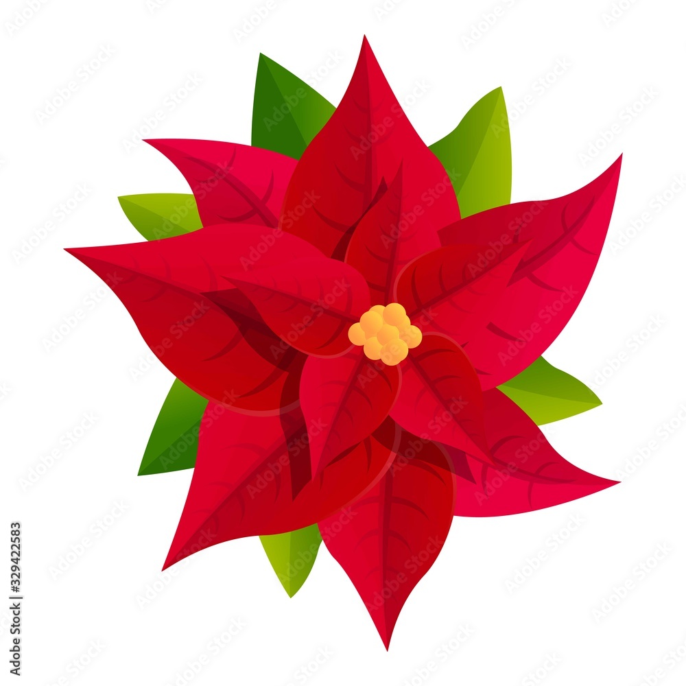 Poinsettia flower icon. Cartoon of poinsettia flower vector icon for web design isolated on white background Poinsettia flower icon. Cartoon of poinsettia flower vector icon for web design isolated on white background
