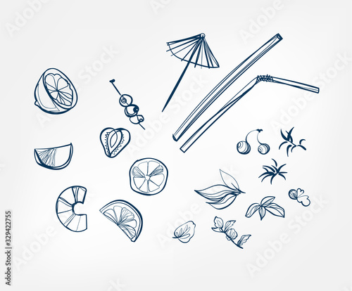 lemon mint straw umbrella vector one line art drink isolated sketch