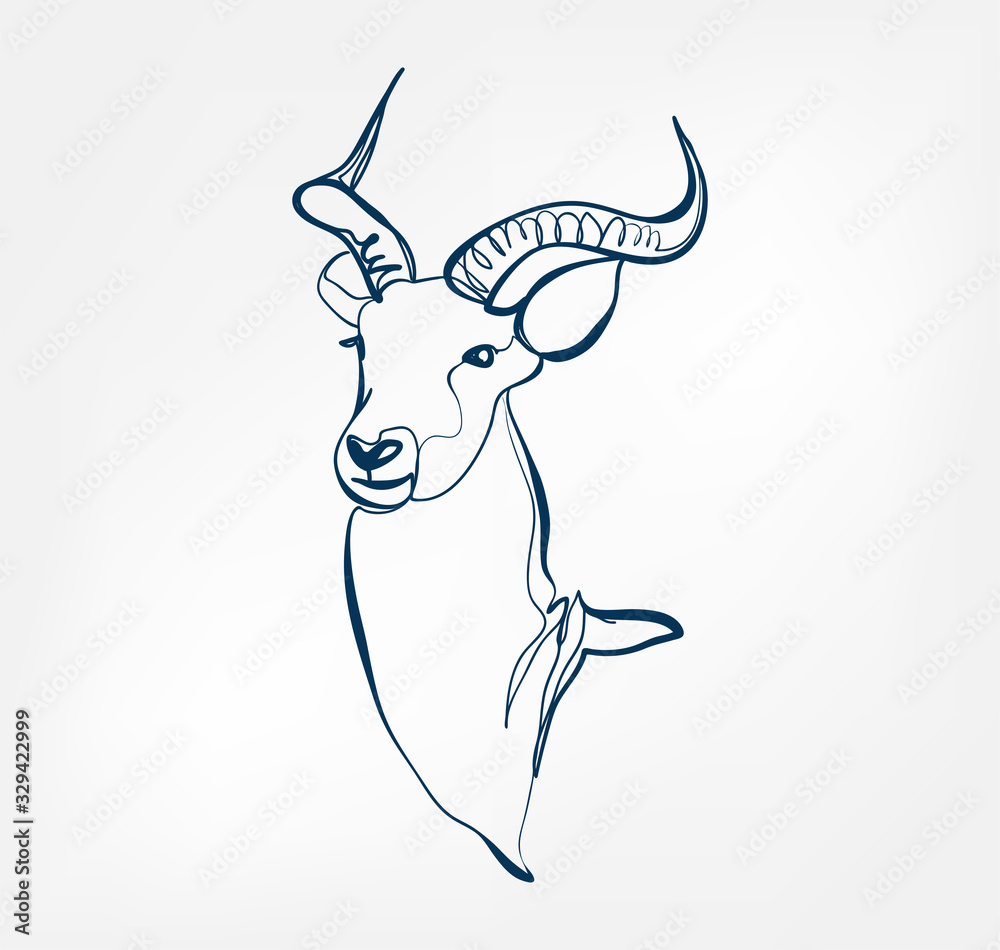 Fotografie antelope vector animal wild one line design