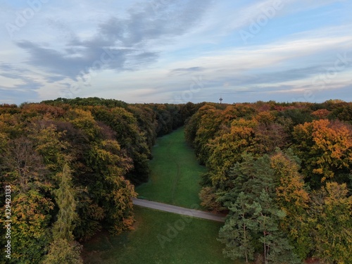 Colorful forrest with a green meadow and a path