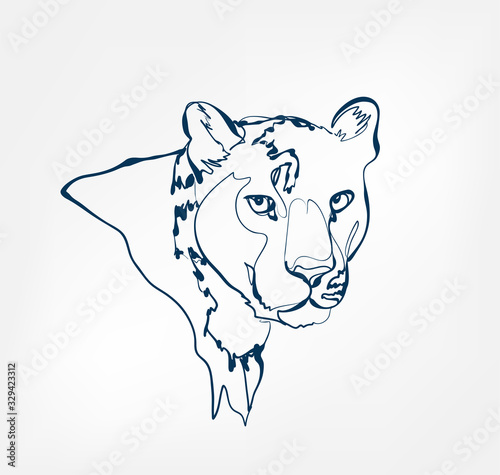 leopard vector animal wild one line design