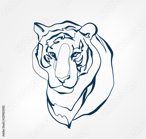 tiger vector animal wild one line design