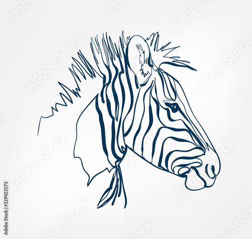 zebra vector animal wild one line design