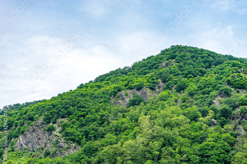 Germany, Rhine Romantic Cruise, a close up of a lush green forest