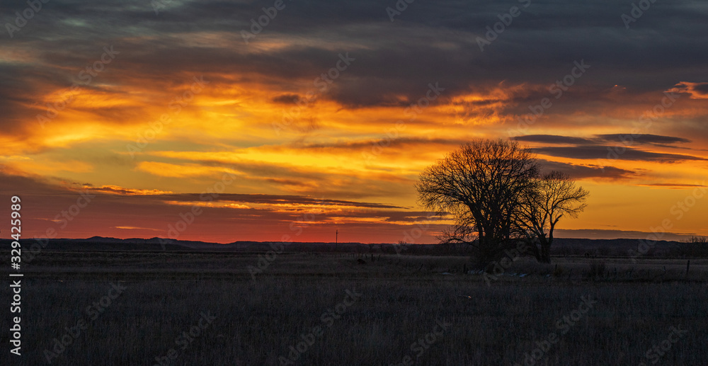 sunset over the field