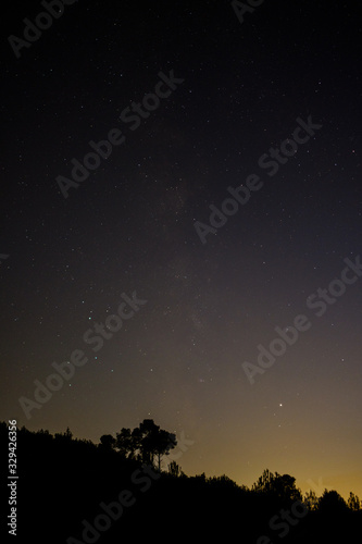 View of silhouettes of trees on top of the mountain on a starry night. © Alejandro