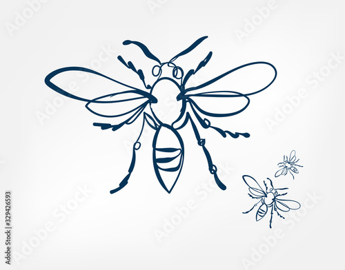 bee wasp insect vector art line isolated doodle illustration © CharlieNati