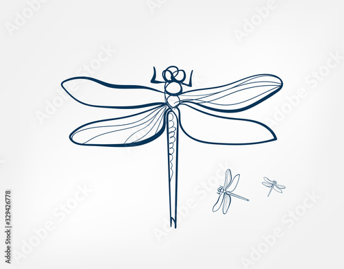 dragonfly insect vector art line isolated doodle illustration