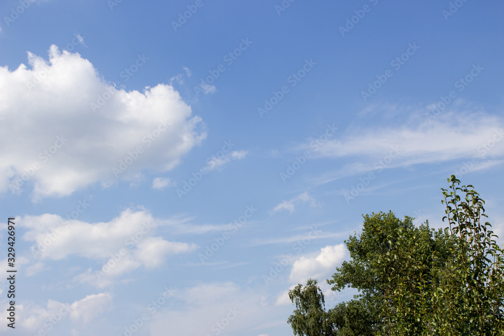 White curly clouds on a blue sky, green tree on a sky background White curly clouds on a blue sky, green tree on a sky background