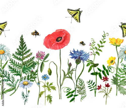 Watercolor wild flowers seamless border. Hand drawn floral field background. ...