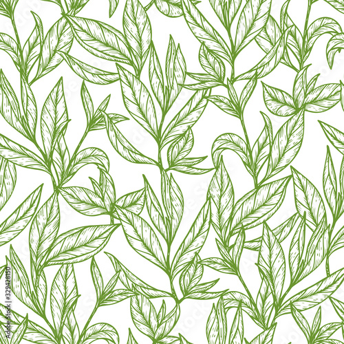 Hand drawn engraving style Green tea leaves Seamless pattern. Vector illustration